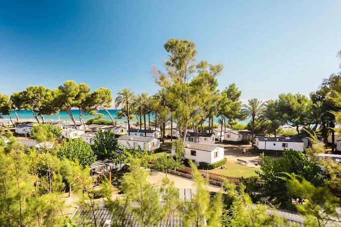 Las Palmeras Camping